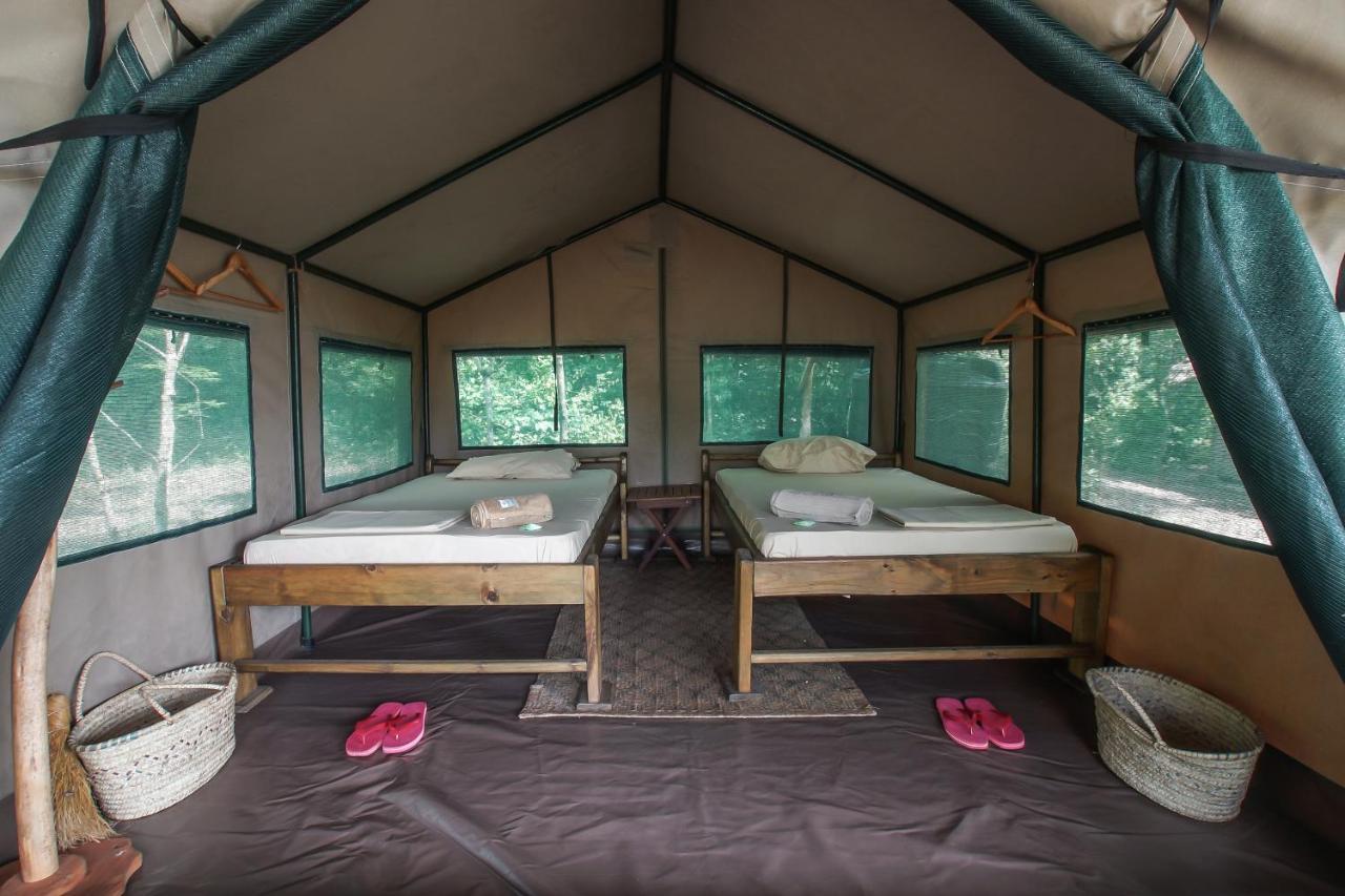 Lodge Miseni Retreat Saadani
