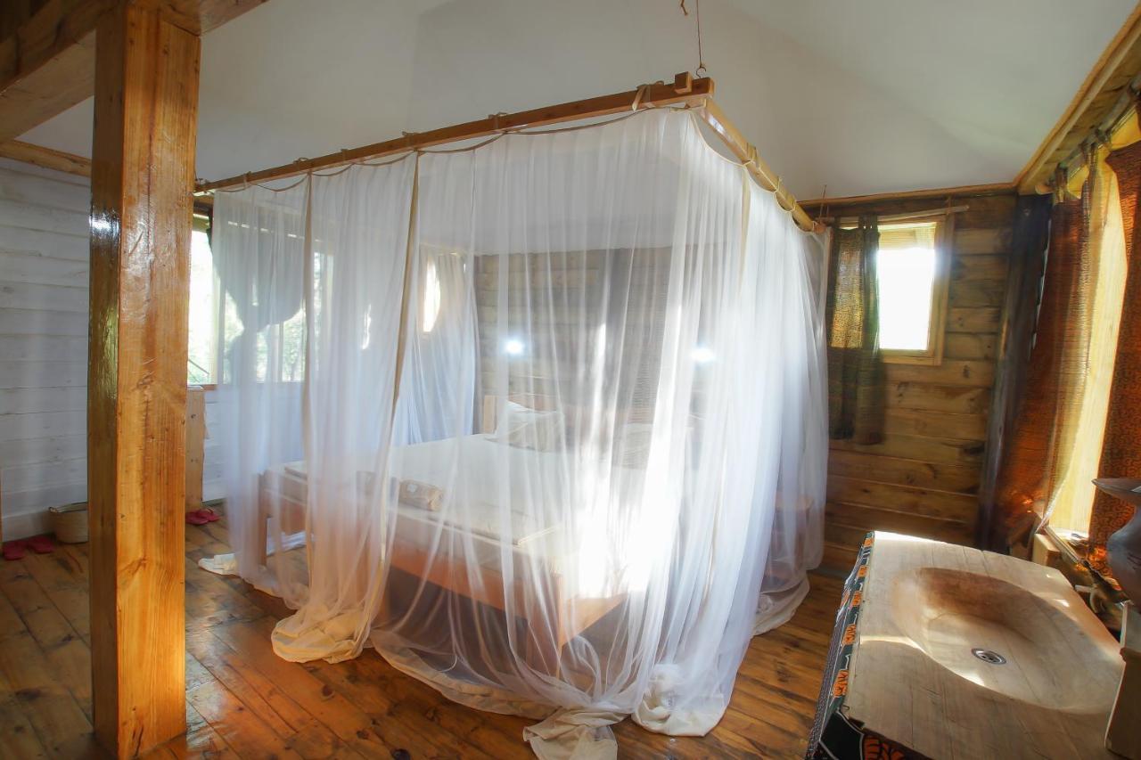Lodge Miseni Retreat *