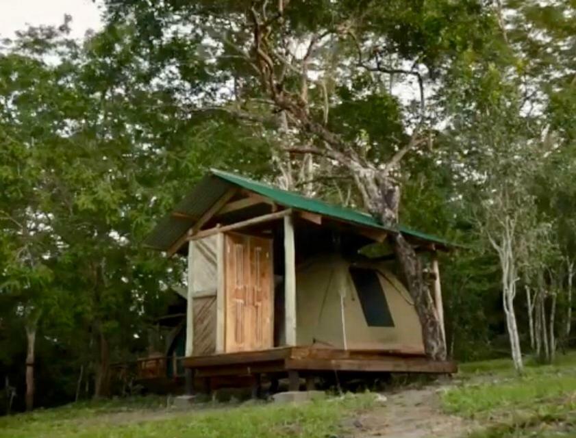 Lodge Miseni Retreat *