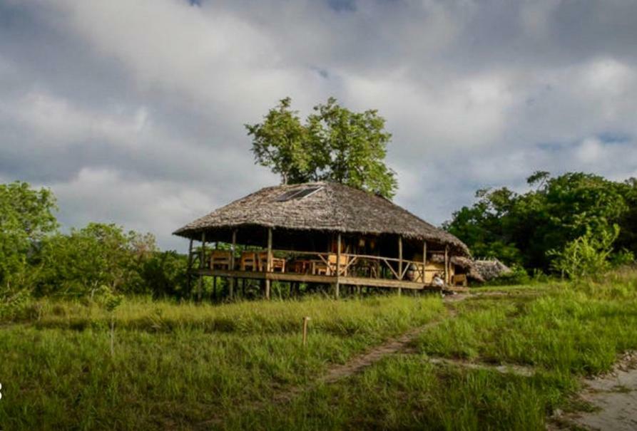 Lodge Miseni Retreat Saadani