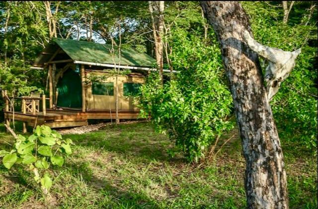 Miseni Retreat * Saadani