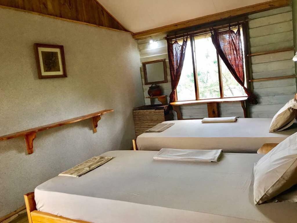 Miseni Retreat * Saadani